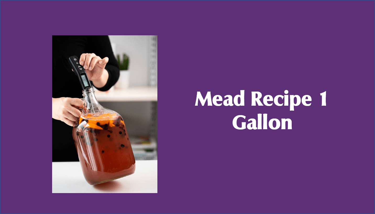 Mead Recipe 1 Gallon